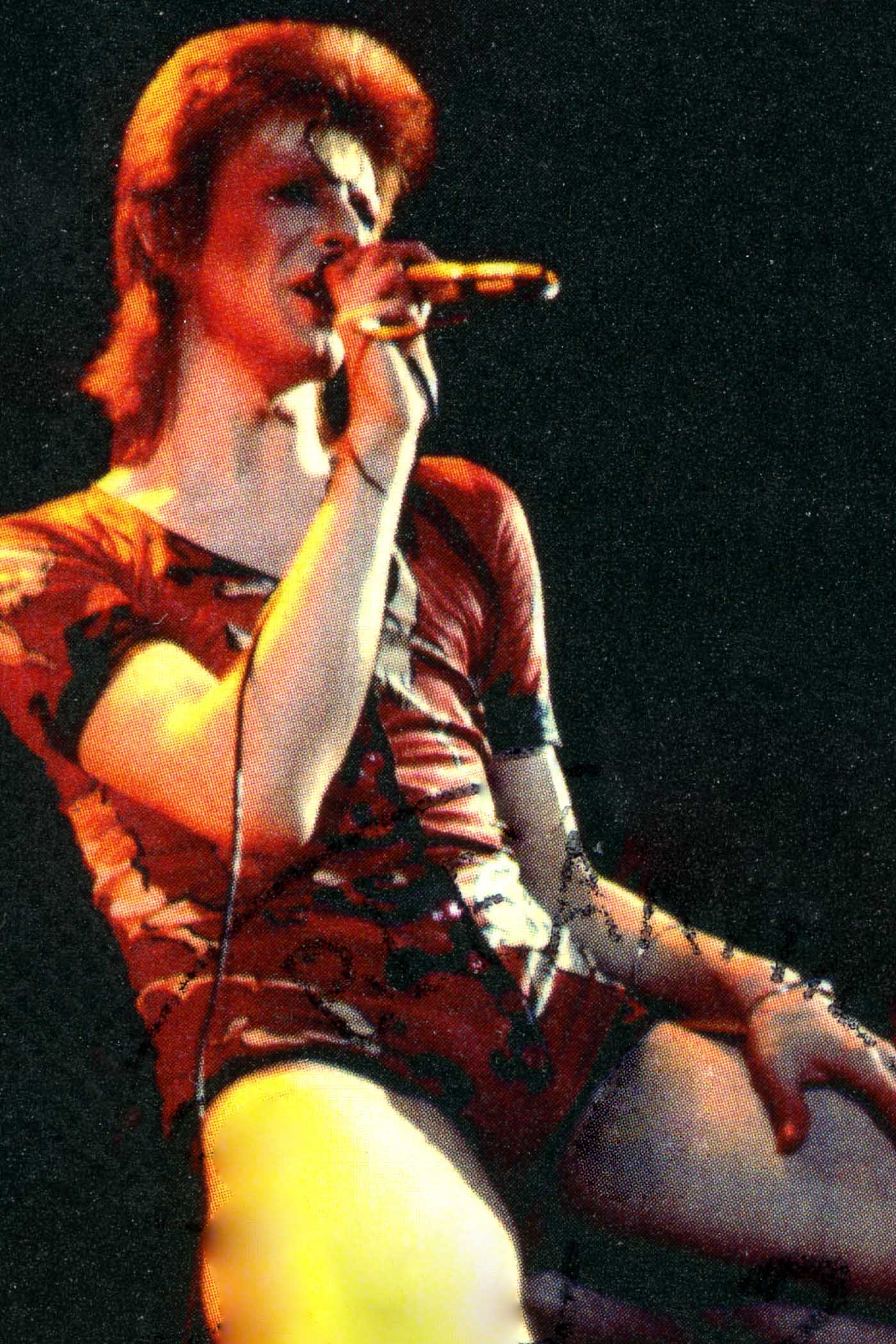 David Bowie