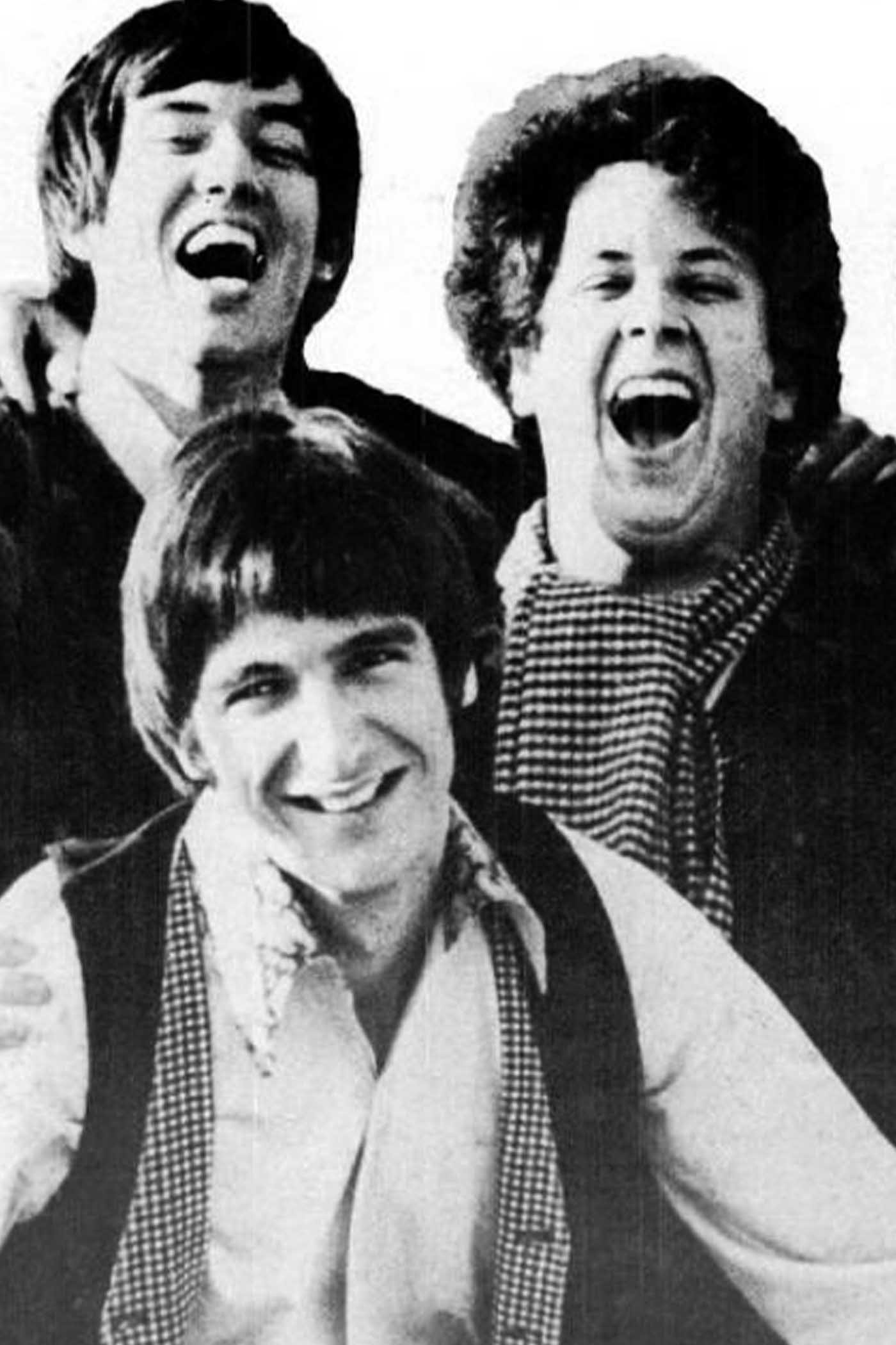 The Turtles